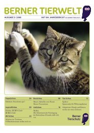 Ausgabe 1/2008 - Tierschutzverein Bern