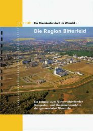 Ein Chemiestandort im Wandel - Die Region Bitterfeld