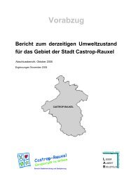 Bericht zum Umweltzustand.pdf - Stadt Castrop-Rauxel