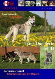 Trick Dog Serie Teil II - Absolut-Hund