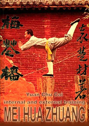 MEI HUA ZHUANG - Shaolin Kung Fu OnLine Library