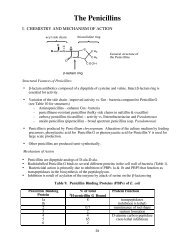 The Penicillins