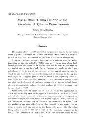 Mutual Effect of TIBA and NAA on the Development of Xylem in ...