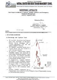 Full page photo - National Disaster Risk Reduction and ...