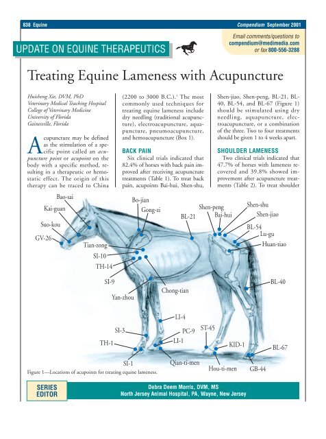 Treating Equine Lameness With Acupuncture Vetlearn Com