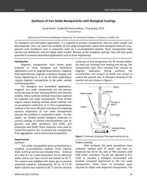 Synthesis of Iron Oxide Nanoparticles with Biological Coatings