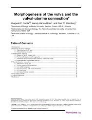 Morphogenesis of the vulva and the vulval-uterine ... - WormBook