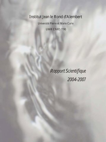 Rapport Scientifique 2004-2007 - Institut Jean le Rond d'Alembert ...