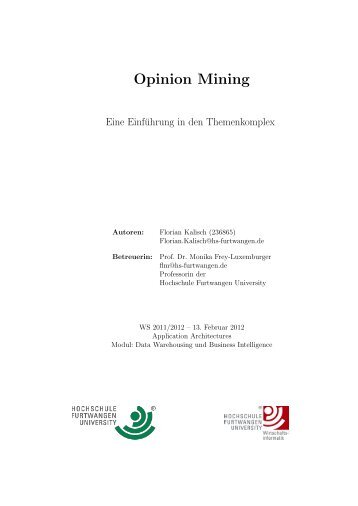 Opinion Mining - Paper - Florian Ferdinand Kalisch