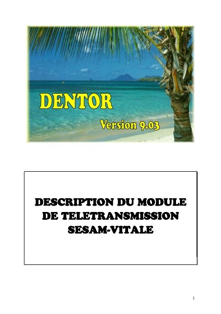 DESCRIPTION DU MODULE DE TELETRANSMISSION ... - Dentor