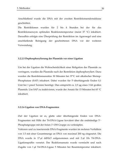 Identifikation und immunologische Charakterisierung von MHC ...