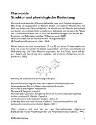 Flavonoide Struktur und physiologische Bedeutung - BCSI