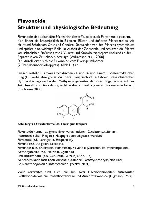 Flavonoide Struktur und physiologische Bedeutung - BCSI