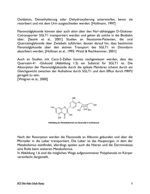 Flavonoide Struktur und physiologische Bedeutung - BCSI