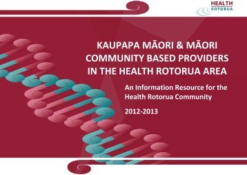 kaupapa māori & māori community based providers in the health ...