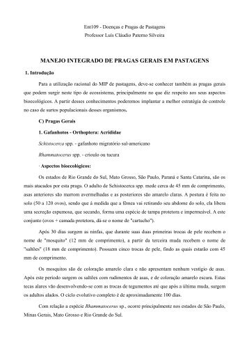 Aula8_MIP_GERAIS.pdf