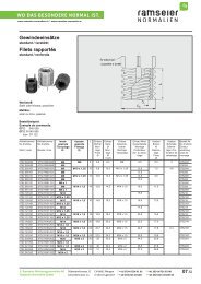 Gewindeeinsätze Reparatursatz [PDF 1,75 MB] - Ramseier-Normalien