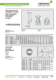 Eléments polyurenthane [PDF 3,65 MB] - Ramseier-Normalien