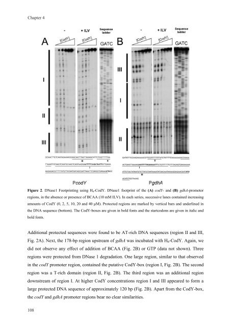 Gene regulation in Streptococcus pneumoniae - RePub - Erasmus ...