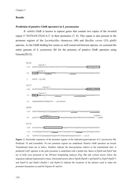 Gene regulation in Streptococcus pneumoniae - RePub - Erasmus ...