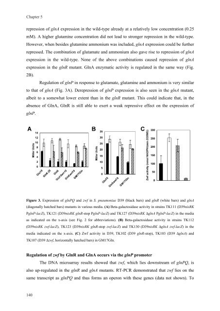 Gene regulation in Streptococcus pneumoniae - RePub - Erasmus ...