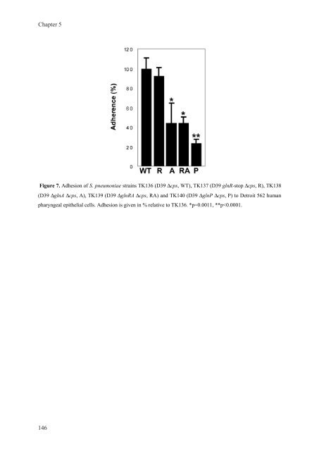 Gene regulation in Streptococcus pneumoniae - RePub - Erasmus ...