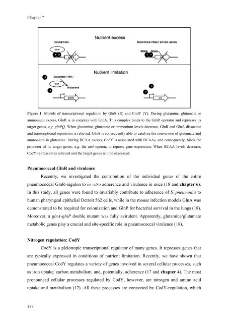 Gene regulation in Streptococcus pneumoniae - RePub - Erasmus ...