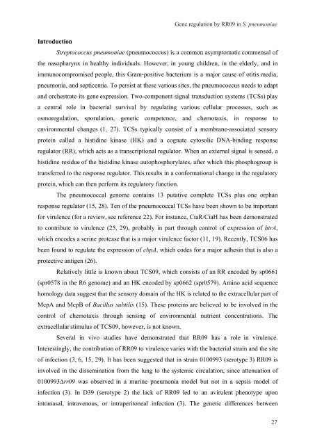 Gene regulation in Streptococcus pneumoniae - RePub - Erasmus ...