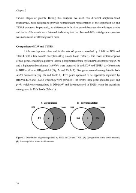 Gene regulation in Streptococcus pneumoniae - RePub - Erasmus ...