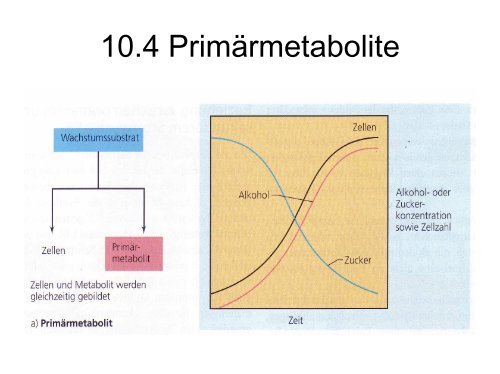 10. Mikrobielle Biotechnologie