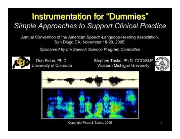 Instrumentation for “Dummies” - Homepages - Western Michigan ...