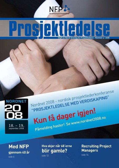 Last ned pdf her... (2,5 Mb) - Norsk senter for prosjektledelse - NTNU