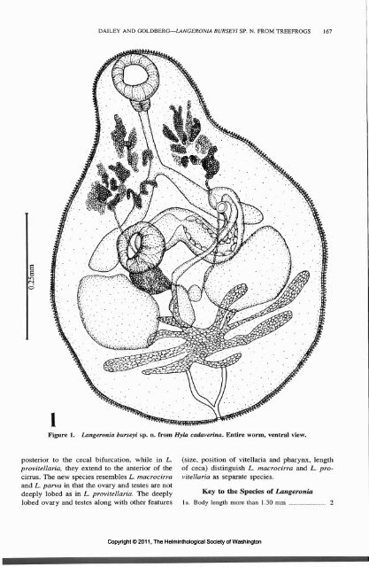 Comparative Parasitology 67(2) 2000 - Peru State College