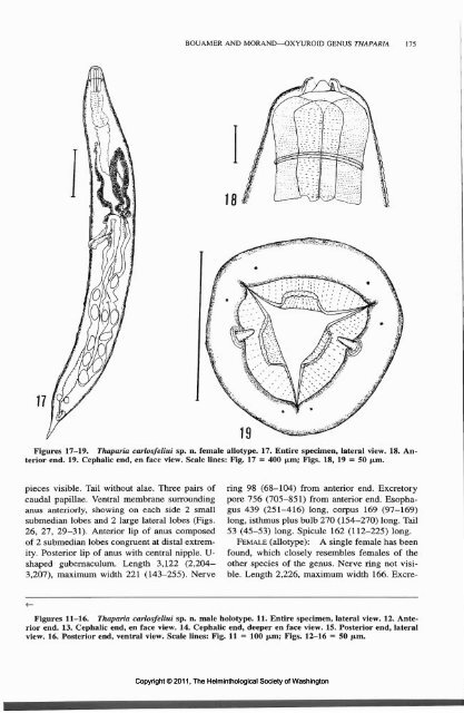 Comparative Parasitology 67(2) 2000 - Peru State College