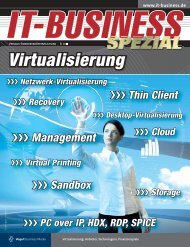 Virtualisierung - IT-Business