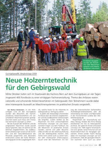 neue Holzerntetechnik für den Gebirgswald - Waldwissen.net