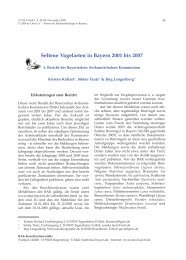 Seltene Vogelarten in Bayern 2001 bis 2007. - 4 - Otus e.V.