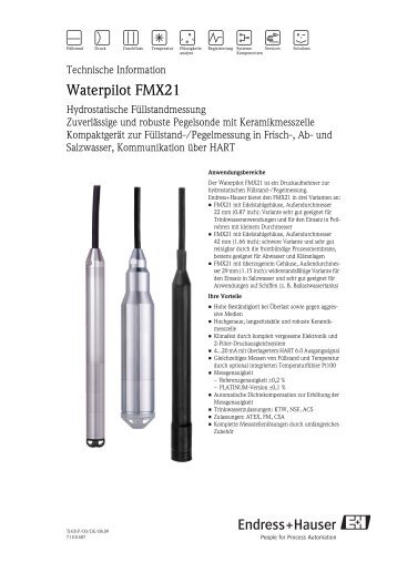 Waterpilot FMX21 (PDF 1,59 MB) - Endress+Hauser