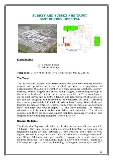 SW Thames Prospectus - South Thames Diabetes and Endocrinology