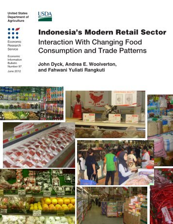 Indonesia's Modern Food Retail Sector - Economic Research ...