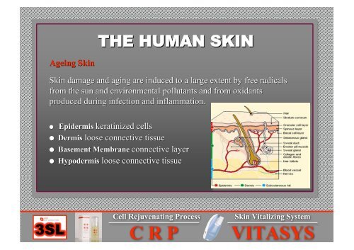 CRP Cell Rejuvenating Process VITASYS Skin Vitalizing System