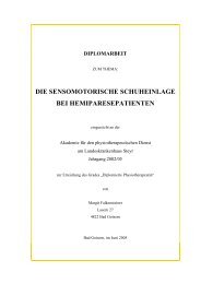 Diplomarbeit von Margit Falkensteiner - Footpower