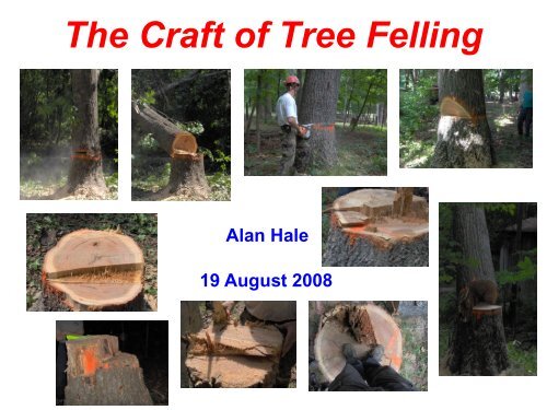 The Craft of Tree Felling