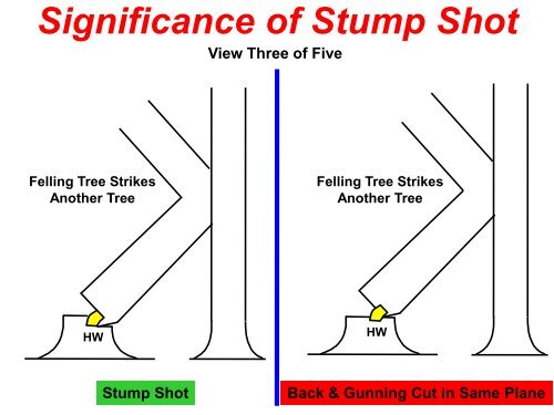 The Craft of Tree Felling