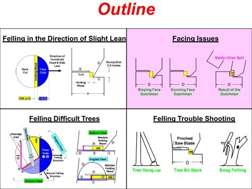 The Craft of Tree Felling