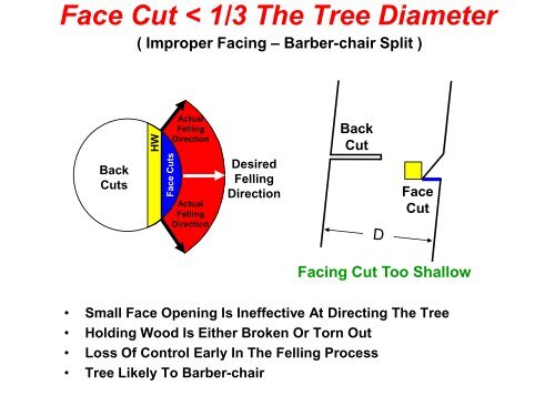 The Craft of Tree Felling