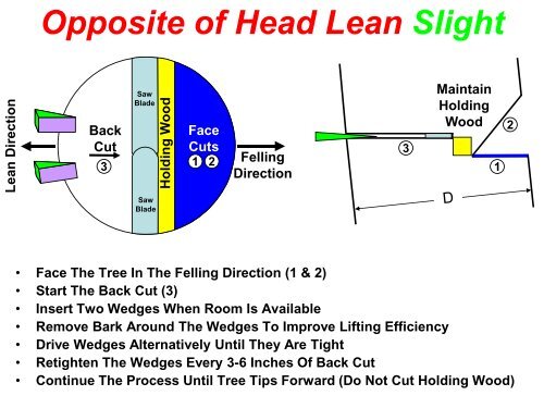 The Craft of Tree Felling