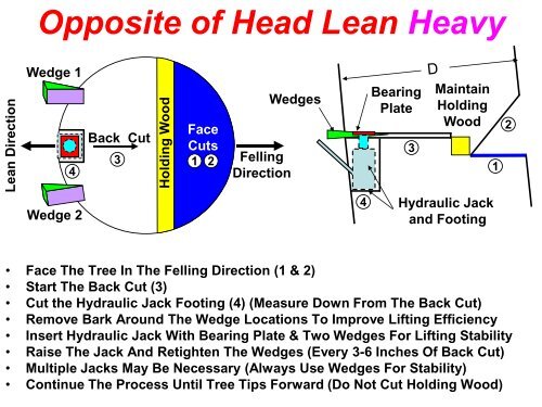 The Craft of Tree Felling