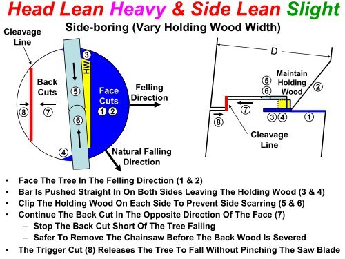 The Craft of Tree Felling