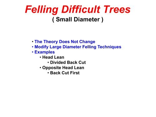 The Craft of Tree Felling